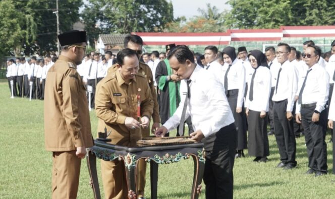 
					Bupati Fauzi Serukan Aparatur Melek Teknologi