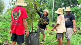 SEDERHANA: Ketua Komisi I DPRD Sumenep Darul Hasyim Fath melakukan penanaman pohon durian di Dusun Baru, Desa Masalima, Kecamatan Masalembu, Minggu (14/12).