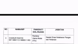 Screen capture dokumen hasil assesment seleksi Sekda Sumenep